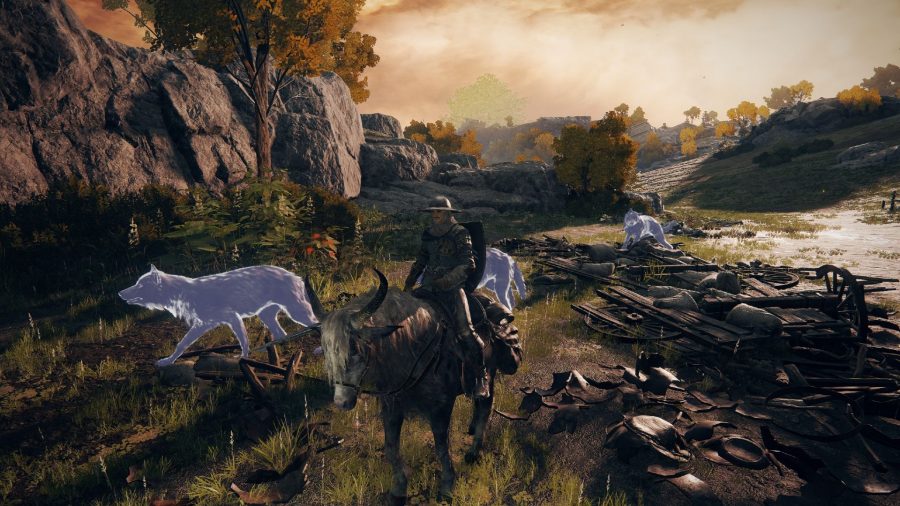Riding around Limgrove with three spectral wolf summons in Elden Ring